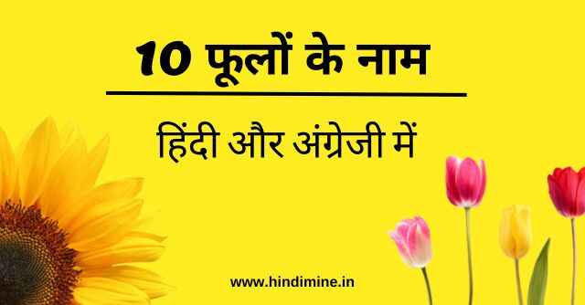 फूलों के नाम Flowers Name in Hindi and English